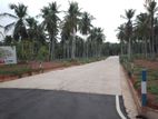 Land in Minuwangoda