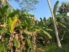 Land in Monaragala Hidakiwila Plot 01