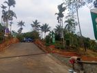 Land in Nawalapitiya