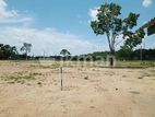 Land in Near the Puttalam Road Bulankulama