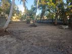 Land in Negombo City Limits