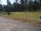 Land In Negombo