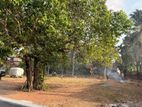 Land in Negombo