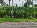 Land in Nittambuwa Town Plot 01