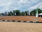 Land in Panadura Y31