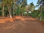 Land in Paragoda