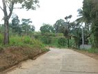 Land in Peradeniya