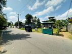 Land in Piliyandala Ganewatta Devala Rd For Quick Sale - Wide Access Rds