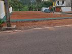 Land in Piliyandala - Honnanthara