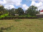 Land in Pirivena Rd Boralesgamuwa ( Can Purchase as two blocks )