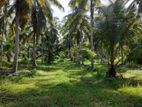 Land in Puttalam District