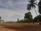 Land in Rambewa - Jaffna road, Parasangaswewa