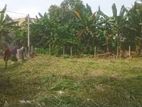 Land For sale in Rathmalana