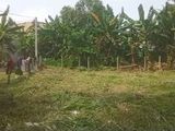 Land For sale in Rathmalana