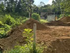 Land in Rathnapura for Sale