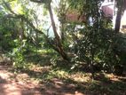 Land in Ratmaldeniya rd Pannipitiya