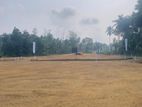land in rilawala polgsovita