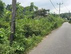 Land in Sale Peradeniya