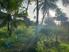 Land in sale Wariyapola 72P