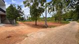 Land in The Heart of Dambulla Town