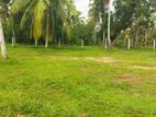 Land in Tihariya 100m kandy road