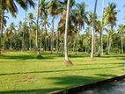 Land in Udugampola