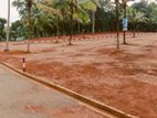 Land in Veyangoda