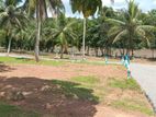 Land in Veyangoda