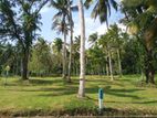 Land in Veyangoda Mirigama Road