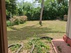 Land in Veyangoda Town Plot 01