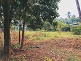 LAND IN WADDUWA, POTHUPITIYA FOR SALE