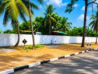 Land in Walisara Great Location Price