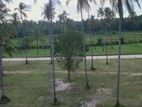 Land In Wariyapola