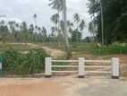 Land in Wariyapola Town, Near the Kurunegala Road