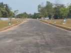 Land in Wattala Hunupitiya