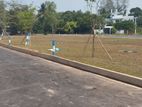 Land in Wattala Hunupitiya