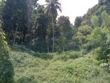 Land in Wattegama