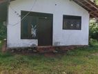 Land in Weligama | වැලිගමින් ඉඩමක් හදිසියේ විකිණීමට