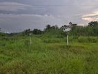 Land in Wellampitiya