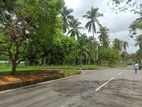 Land In Yakkala