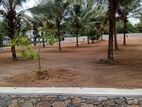 Land Investment Opportunity in Homagama