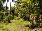 Land Is for Sale at Vabada