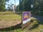 Land කුලියාපිටිය ජනප්‍රිය පාසල් සීමාවෙන්