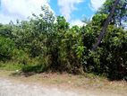Land Lots for Sale Horana