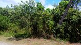 Land Lots for Sale Horana