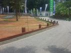 Land Lots for Sale in Katubedda Moratuwa(S20)