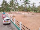 Land - Naiwela