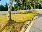 📍 Land Near 190 Bus Road – Panagoda Deal
