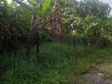 Land Near Homagama