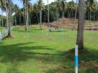 Land Near in Kurunegala K1 18/07